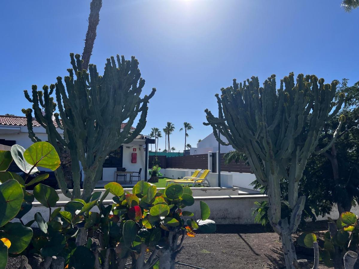 מספאלומס Escarabajo Bungalow Il Maggiolino מראה חיצוני תמונה